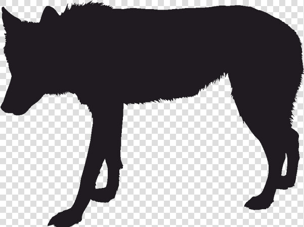 Gray Wolf Silhouette Black Wolf Drawing   Black Wolf Silhouette Png  Transparent PngTransparent PNG