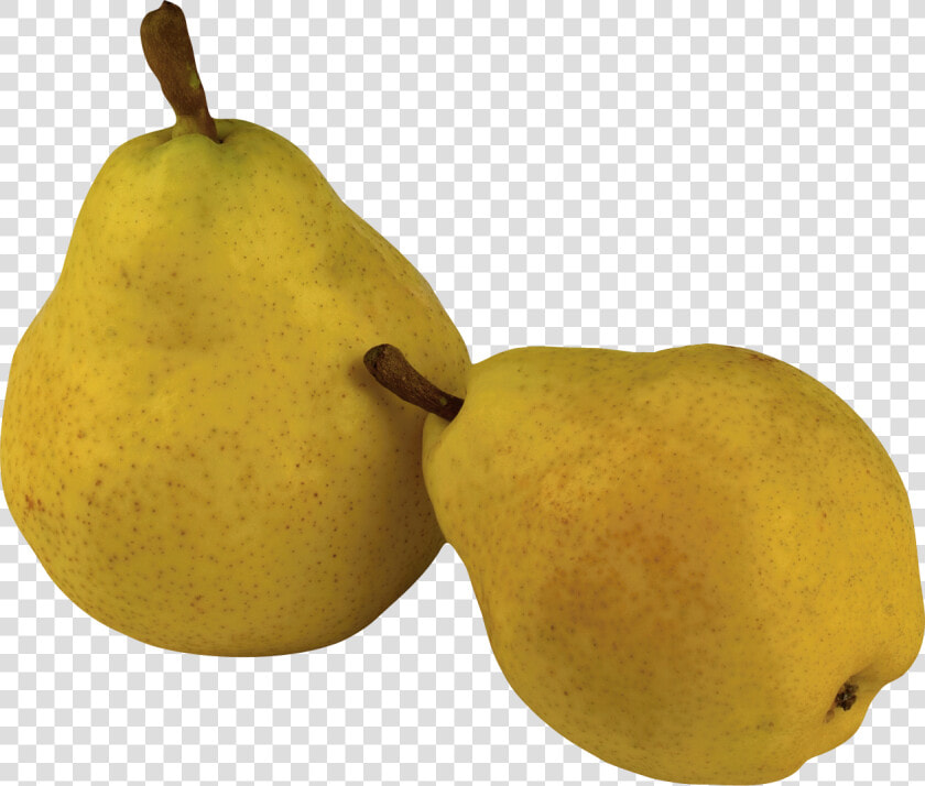 Ripe Pear Png Image   Png Of Pear  Transparent PngTransparent PNG