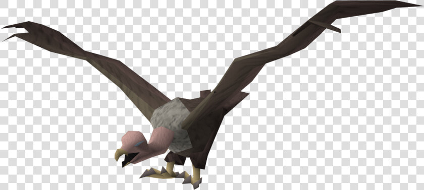 Vulture   Png Download   Transparent Vulture  Png DownloadTransparent PNG