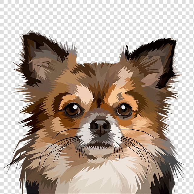 Pop Art Dog Chihuahua  HD Png DownloadTransparent PNG