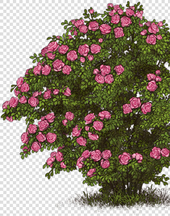 Petunia  HD Png DownloadTransparent PNG