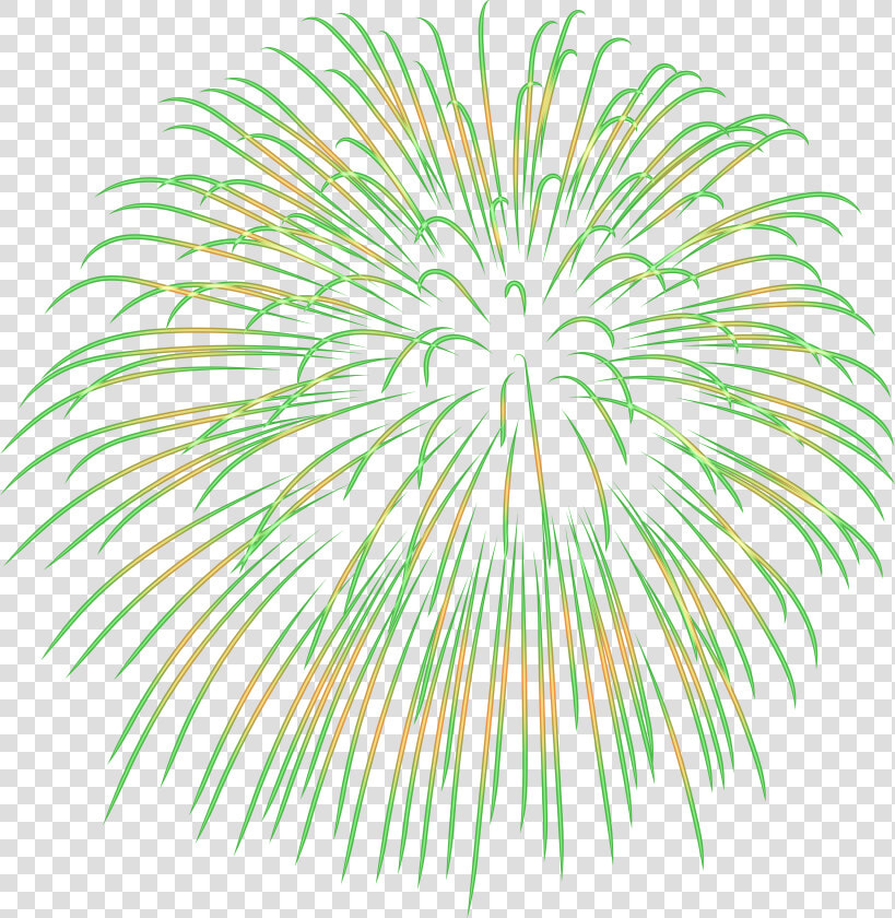 Transparent Fireworks Clipart Black And White   Green Fireworks Clipart Transparent Background  HD Png DownloadTransparent PNG