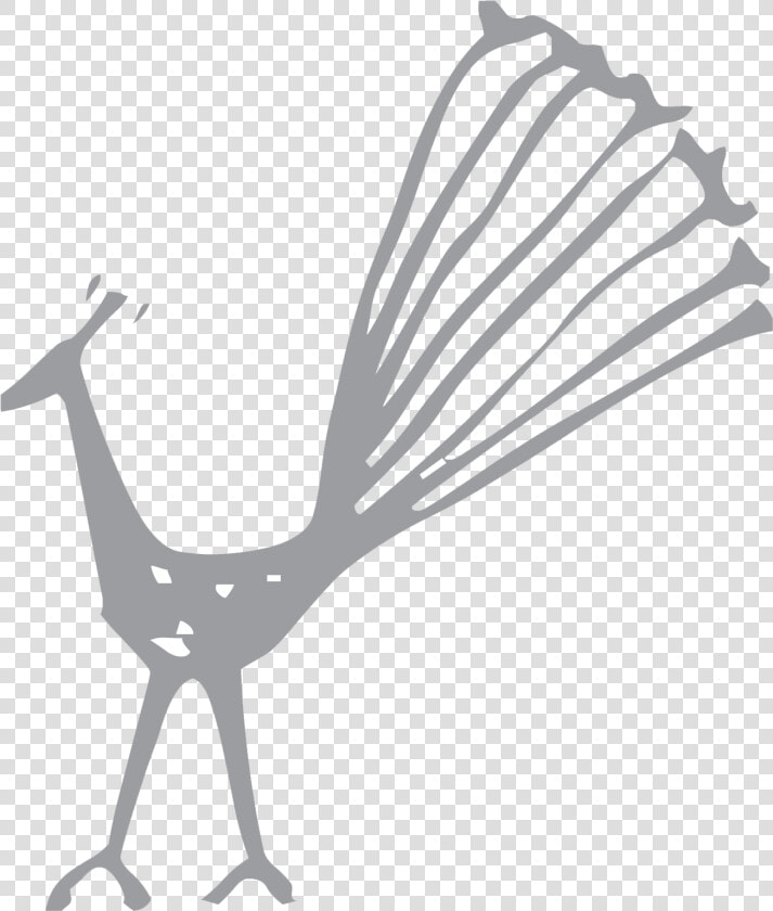 Ws Home Symbol Podcast   Peafowl  HD Png DownloadTransparent PNG