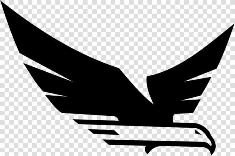 Hawk   Transparent Cartoons   Emblem  HD Png DownloadTransparent PNG