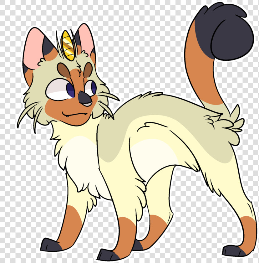 Meowth But With Real Cat Pattern Design siamese Cat   Cat Yawns  HD Png DownloadTransparent PNG