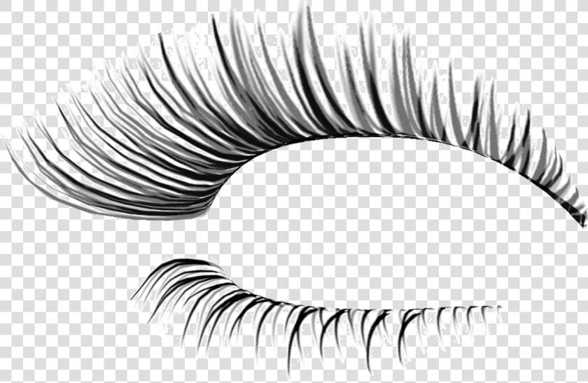 Eyelashes Transparent Transparent Background  HD Png DownloadTransparent PNG