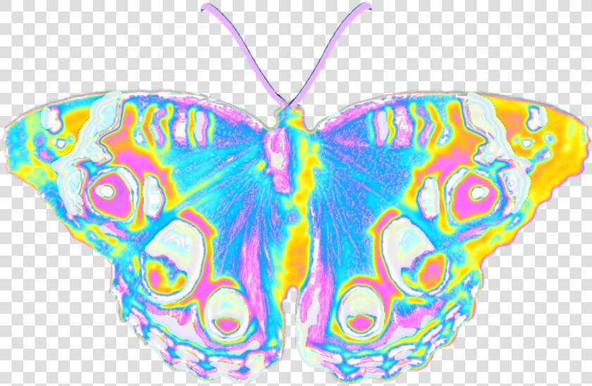  butterfly  holographic  pastel  wings  spring  summer   Swallowtail Butterfly  HD Png DownloadTransparent PNG