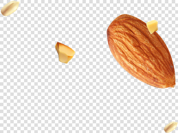 Img footer almond Seed   Almond  HD Png DownloadTransparent PNG