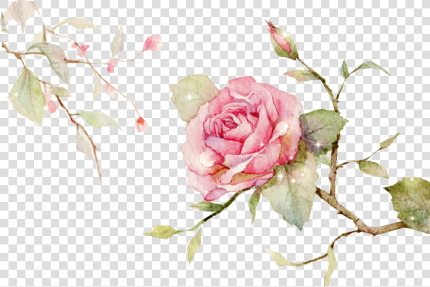  edits  flowers  rose  vine  nature  art  stickers   Hand Painted Flowers Vector Png  Transparent PngTransparent PNG