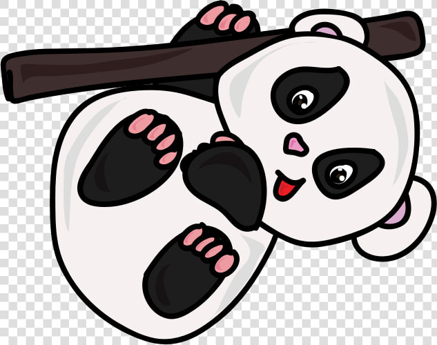 Panda   Giant Panda  HD Png DownloadTransparent PNG