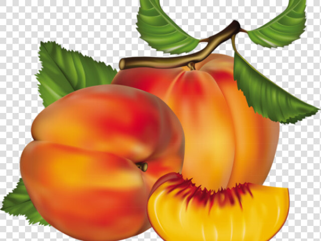 Peach Clipart Chico   Peach Fruit  HD Png DownloadTransparent PNG