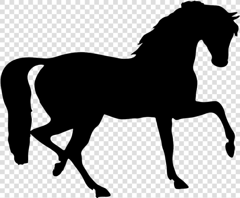 Horse Clipart Transparent   Horse Running Gif Png  Png DownloadTransparent PNG