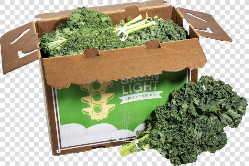 Transparent Kale Png   Lacinato Kale  Png DownloadTransparent PNG