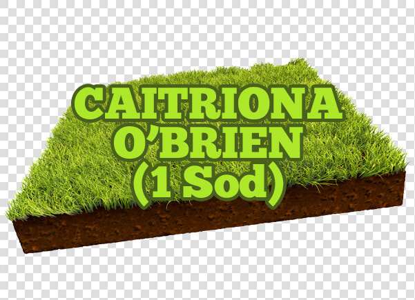 Caitriona O Brien   Opening Soon Banner  HD Png DownloadTransparent PNG