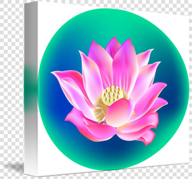 Clip Art Lotus Flower Pictures   Lotus Flower Clip Art  HD Png DownloadTransparent PNG