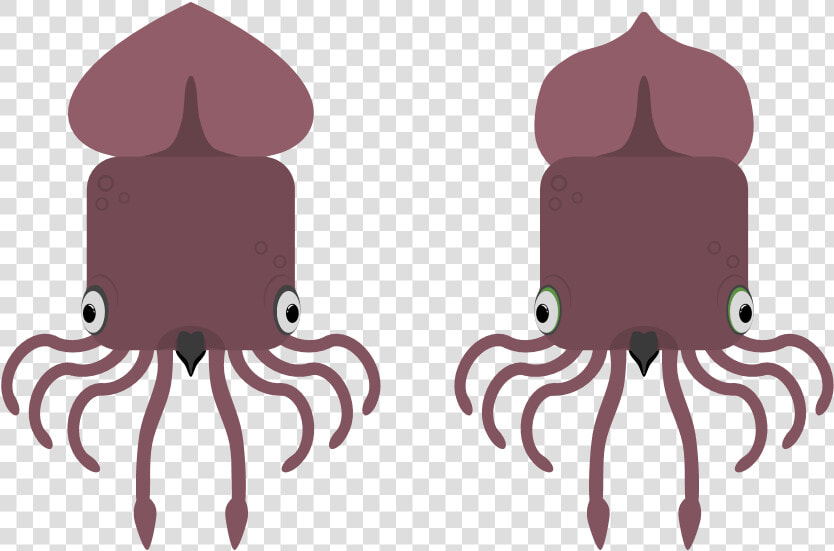 Colossal Squid Clipart   Png Download   Illustration  Transparent PngTransparent PNG