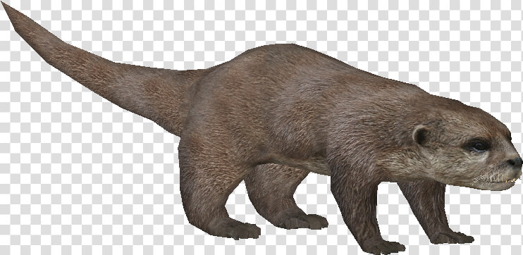 Asianotterludo   Zoo Tycoon Otter Png  Transparent PngTransparent PNG