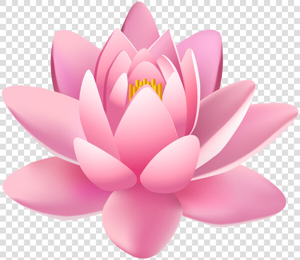 Lotus Flower Png   Transparent Background Lotus Flower Png  Png DownloadTransparent PNG