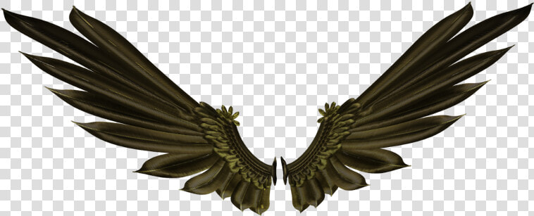 Asas Wings Black Negras Freetoedit   Transparent Background Raven Png  Png DownloadTransparent PNG