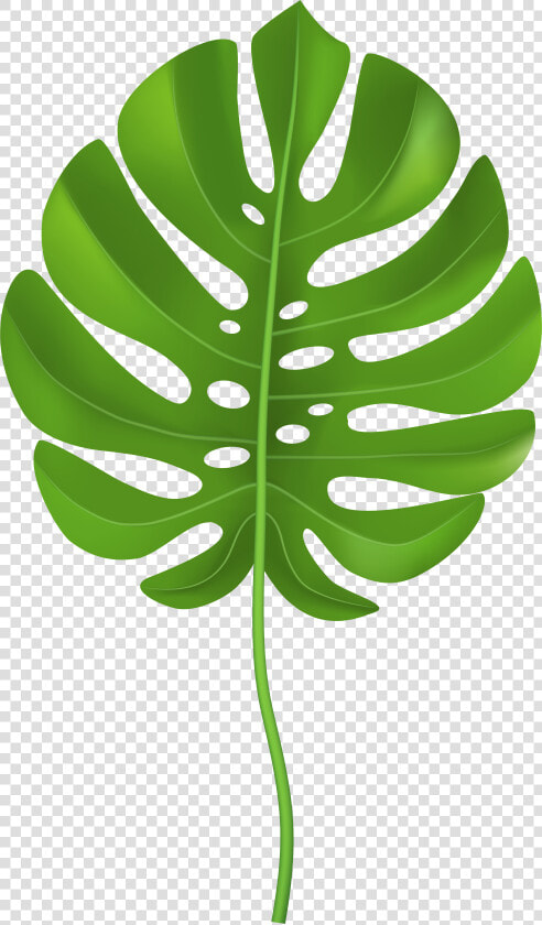 Tropical Palm Leaf Transparent Png Clip Art Image     Clip Art Palm Leaf  Png DownloadTransparent PNG