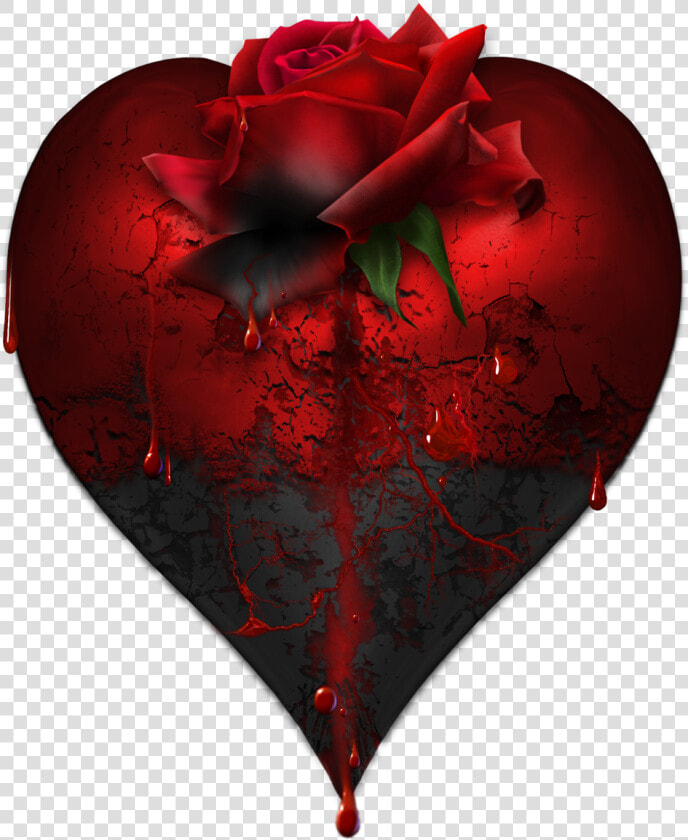 Bleeding Heart Png  Transparent PngTransparent PNG