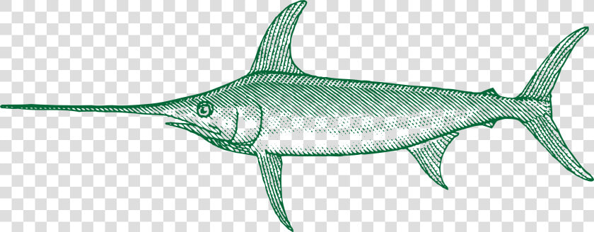 Transparent Marlin Fish Png   Swordfish  Png DownloadTransparent PNG