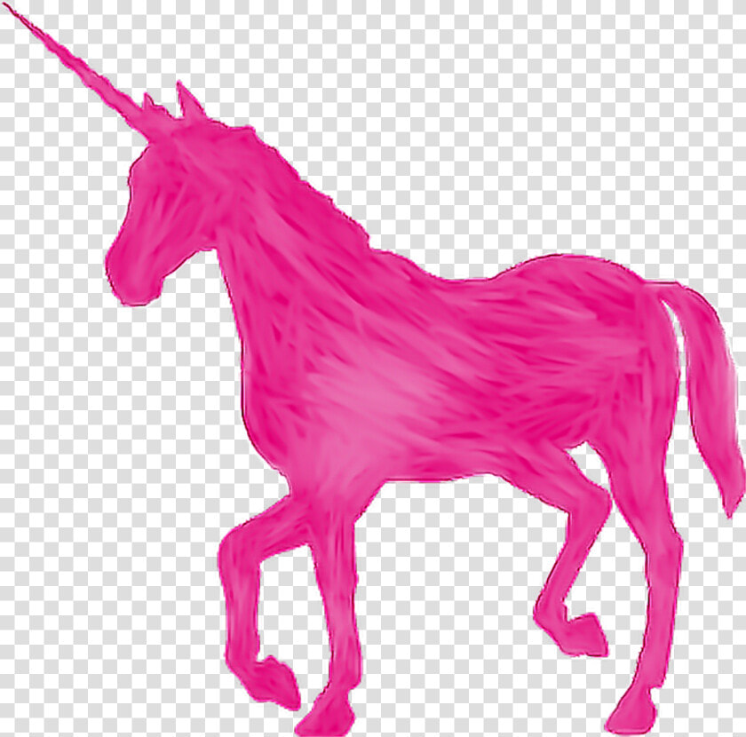 Unicorn Png Clipart   Png Download   Unicorn With Transparent Background  Png DownloadTransparent PNG