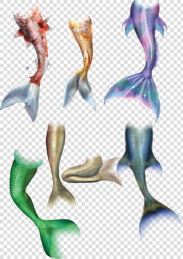 Mermaid Tail Transprent Png   Mermaid Fish Scale Drawing  Transparent PngTransparent PNG