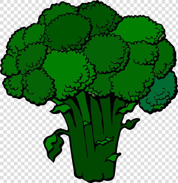 Transparent Broccoli Cartoon Png   Broccoli Clipart  Png DownloadTransparent PNG