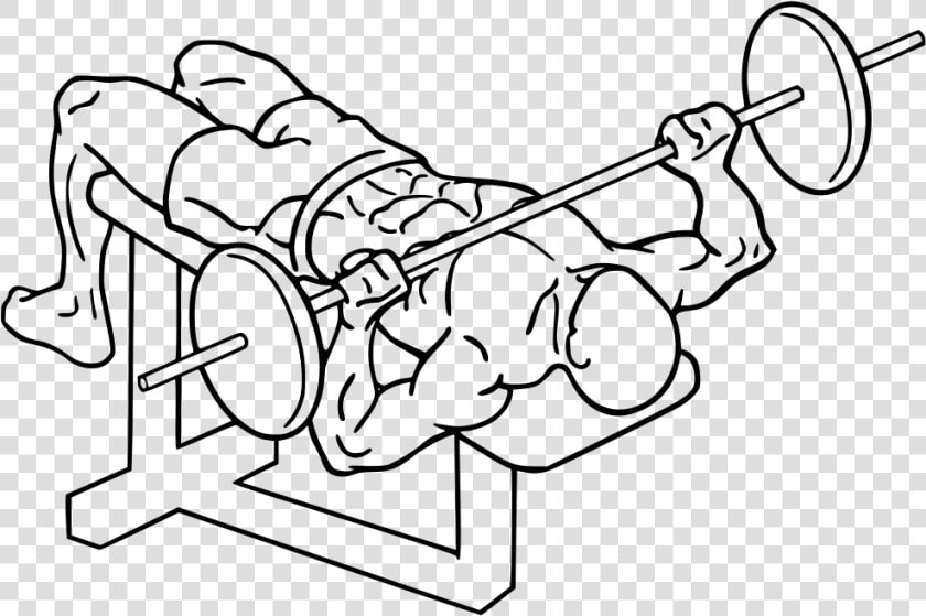 Decline Barbell Bench Press   Decline Bench Press  HD Png DownloadTransparent PNG