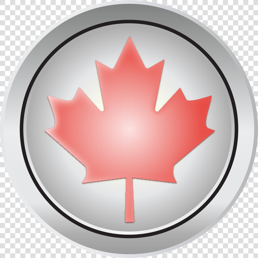 Canada Maple Leaf Png Transparent Images   Happy Canada Day July 1  Png DownloadTransparent PNG