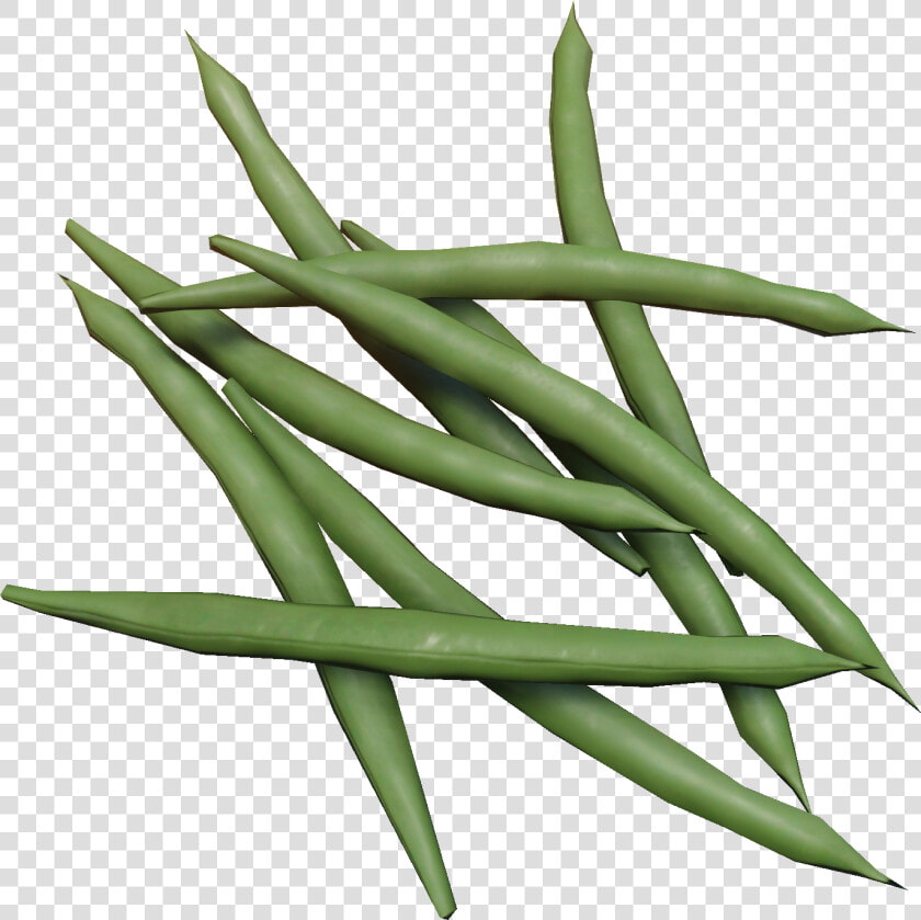 Miscreated Wiki   Green Bean  HD Png DownloadTransparent PNG