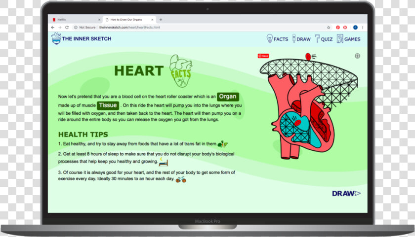 Innner Sketch Heart Facts   Png Download   Led backlit Lcd Display  Transparent PngTransparent PNG