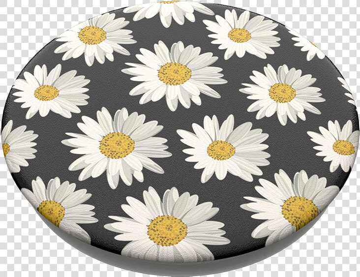 Daisies  Popsockets Daisies   Popsockets  HD Png DownloadTransparent PNG