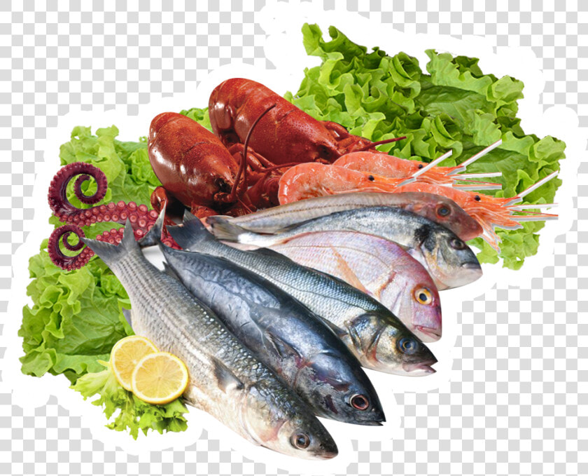 Fish mackerel leaf Herring   Pescados Y Mariscos Png  Transparent PngTransparent PNG