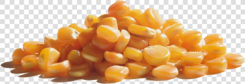 Wabash Valley Farms Popcorn   Corn Kernels  HD Png DownloadTransparent PNG