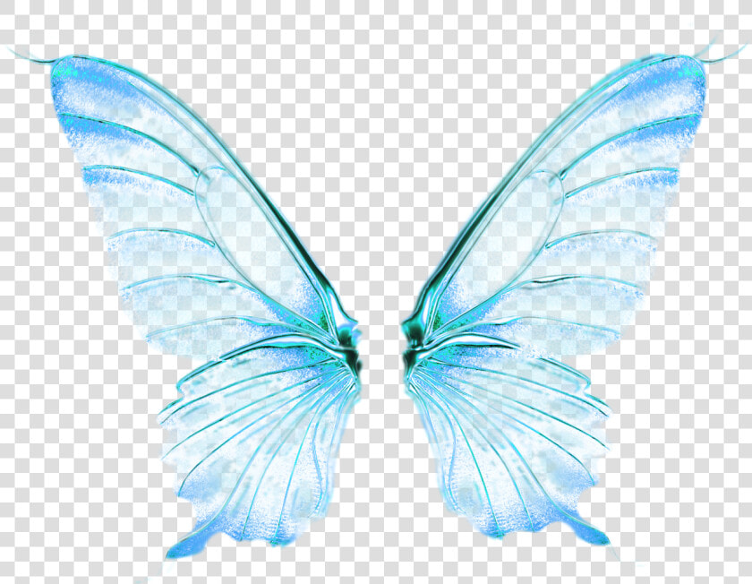 Fairy Wings Png  0 14c891 59efcec6 Orig Wings Png    Angel Butterfly  Transparent PngTransparent PNG