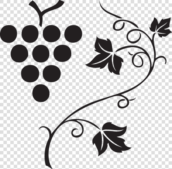 562 Grapes  amp  Vine Clipart Images  Vector Clipart  Multiple   Grape Vine Vector Png  Transparent PngTransparent PNG