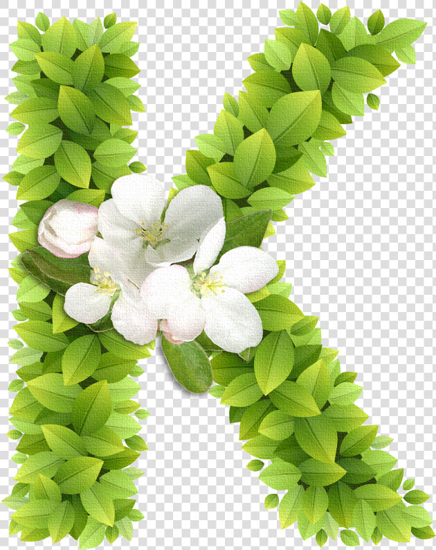 Letra Decoradas Con Flores K  HD Png DownloadTransparent PNG