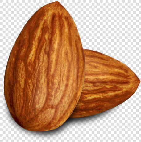 Almond Png Pic Background   Almond Clipart  Transparent PngTransparent PNG