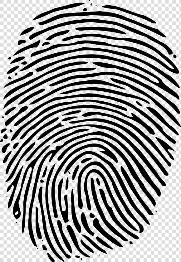 Fingerprint Png   Fingerprint Svg  Transparent PngTransparent PNG