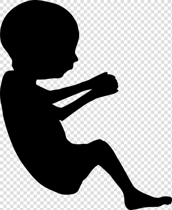 Fetus  Baby  Developing  Mother  Mom  Womb  Pregnant   Baby In Womb Clip Art  HD Png DownloadTransparent PNG