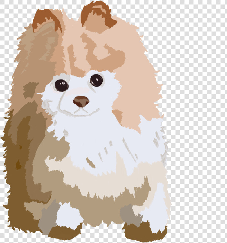 Pomeranian  HD Png DownloadTransparent PNG