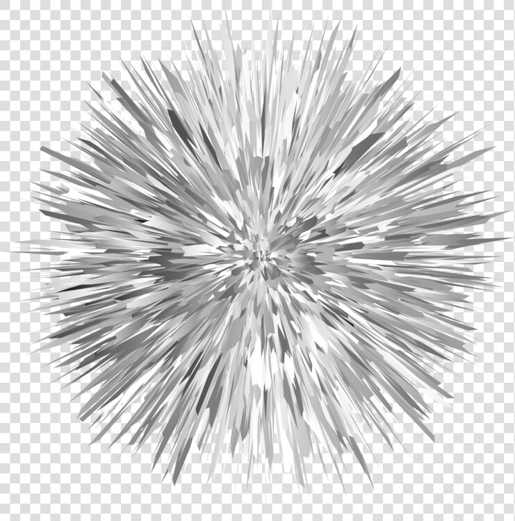 Pine Photography   Drawing Of Sea Urchin  HD Png DownloadTransparent PNG