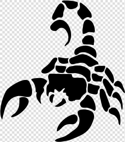 Scorpion Png Image   Transparent Background Scorpion Logo  Png DownloadTransparent PNG