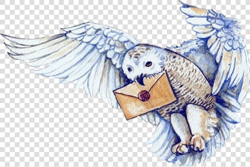 Knightbus Harrypotter Hedwig Hogwartsletter  HD Png DownloadTransparent PNG