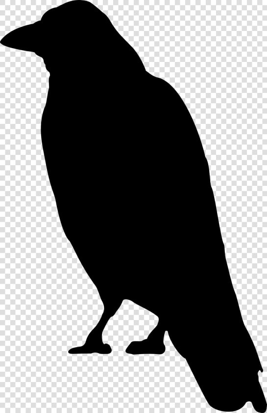 Crows Clip Art   Crow Clip Art  HD Png DownloadTransparent PNG