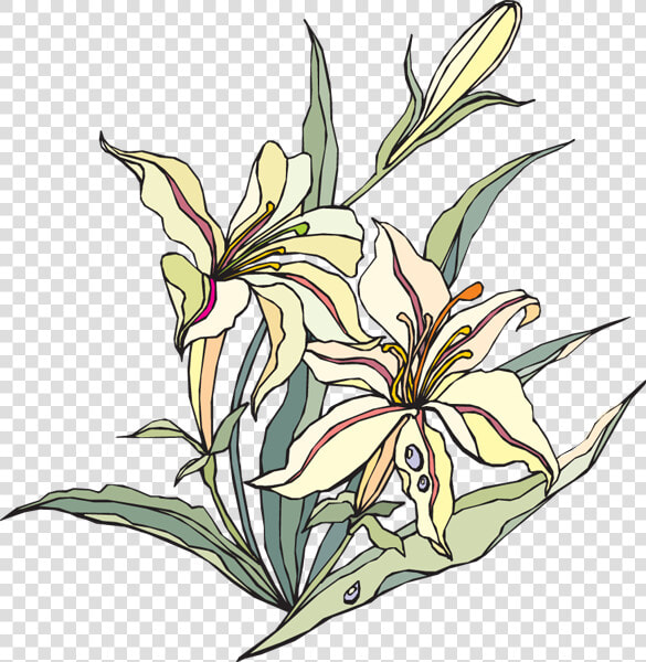 Lily Of The Valley Clipart   White Easter Lilies Clip Art Png  Transparent PngTransparent PNG