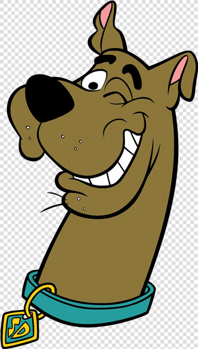 Scrappy Shaggy Scooby Doo  HD Png DownloadTransparent PNG