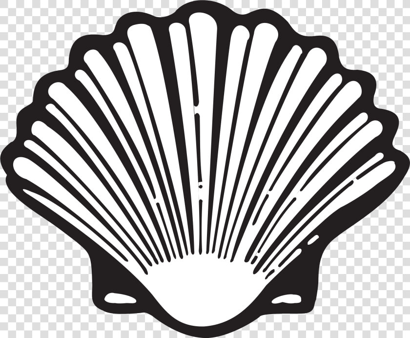 Shell   Shell Logo Evolution  HD Png DownloadTransparent PNG